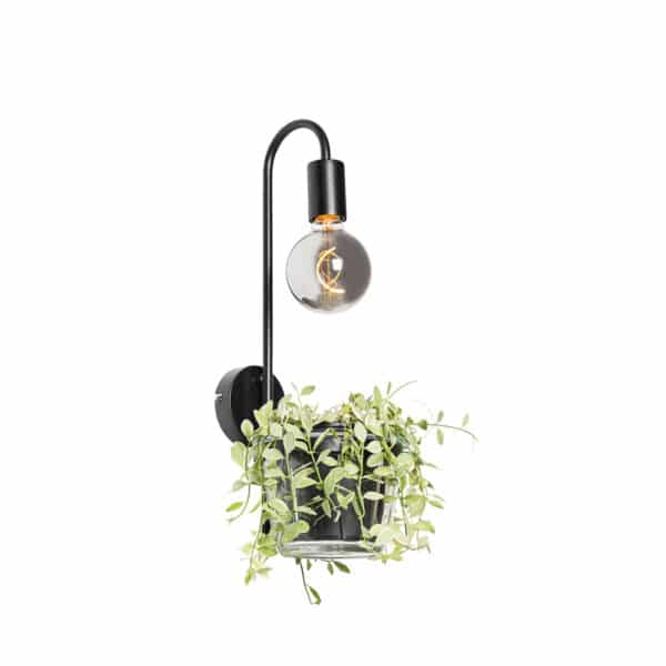 QAZQA Moderne Wandlampe schwarz mit Glas - Roslini